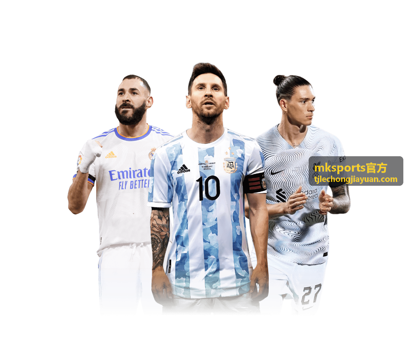mksports官方运动器材配置与日常维护检查要点示意