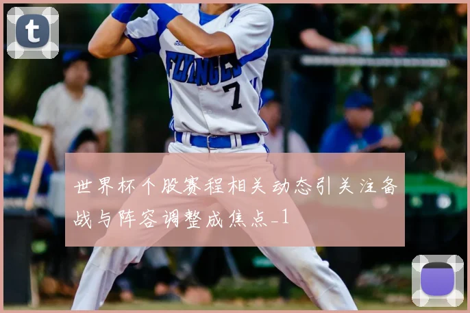 世界杯个股赛程相关动态引关注备战与阵容调整成焦点_1